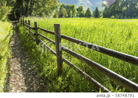 Wooden fence by green field 58748791