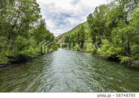 River through forest in Sun Valley, Idaho, USA 58748795