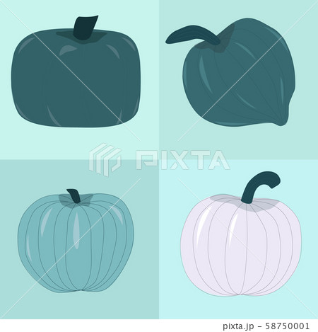 Different types of blue pumpkins. Unique varieties of winter/fall squashes. Vector Illustration. 58750001