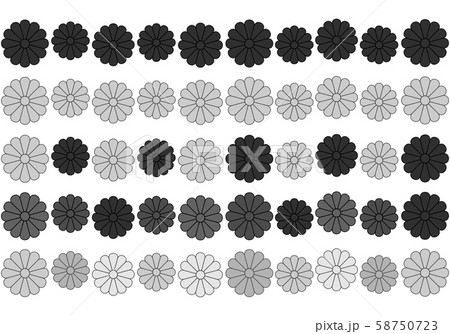 モノクロの和風な菊のラインセットのイラスト素材