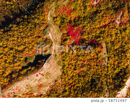 Aerial view of autumn forest and trail in mountains Aerial view of autumn forest and trail in mountains 58751497
