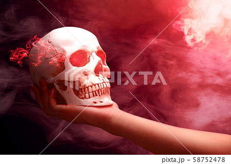 Hand holding human skull 58752478