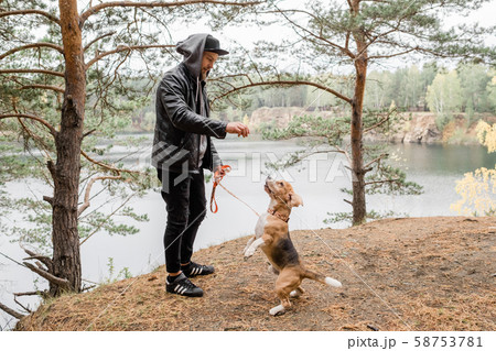 Young man giving something tasty to cute purebred beagle puppy during chill Young man giving something tasty to cute purebred beagle puppy during chill 58753781