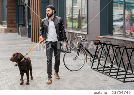 Handsome guy in casualwear holding leash while taking walk with his pet Handsome guy in casualwear holding leash while taking walk with his pet 58754749