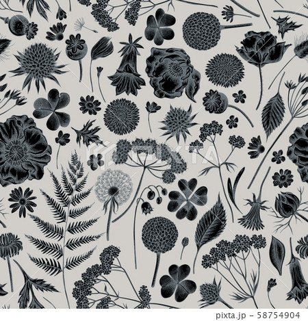 Seamless pattern with hand drawn stylized shepherd's purse, heather, fern, wild garlic, clover 58754904