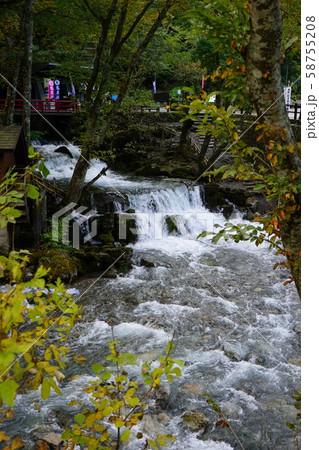岩泉の秋台風後の龍泉洞 58755208