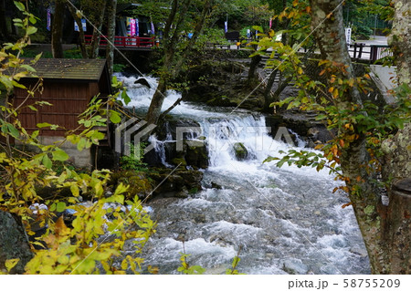 岩泉の秋台風後の龍泉洞 岩泉の秋台風後の龍泉洞 58755209