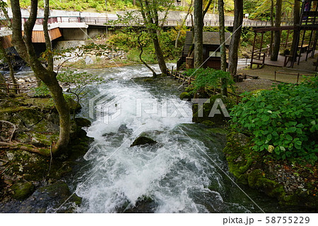 岩泉の秋台風後の龍泉洞 岩泉の秋台風後の龍泉洞 58755229