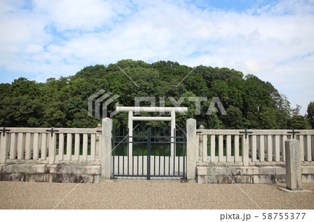 宝来山古墳 58755377