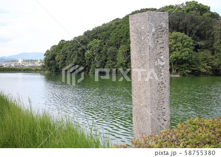 宝来山古墳 58755380