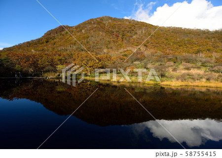 覚満淵と紅葉 覚満淵と紅葉 58755415