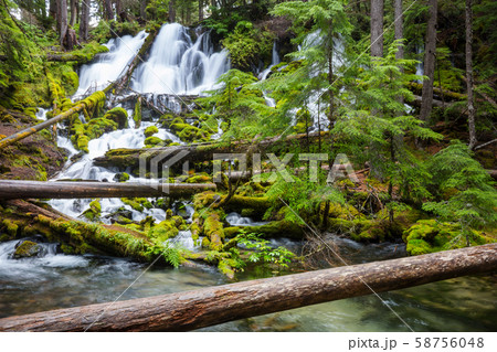 Waterfall in the forest Waterfall in the forest 58756048