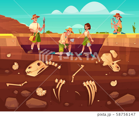Scientists exploring fossils on excavations 58756147