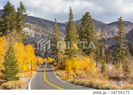 Autumn road Autumn road 58756175