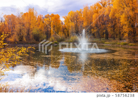 Autumn park 58756238