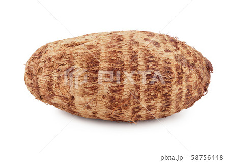 fresh taro root isolated on white background fresh taro root isolated on white background 58756448