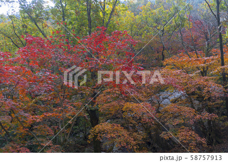 自然 風景 韓国 58757913