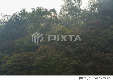 自然 風景 韓国 58757942