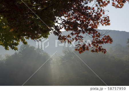 自然 風景 韓国 58757950