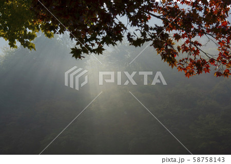 自然 風景 韓国 58758143