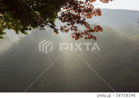 自然 風景 韓国 58758146
