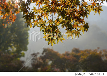 自然 風景 韓国 58758151