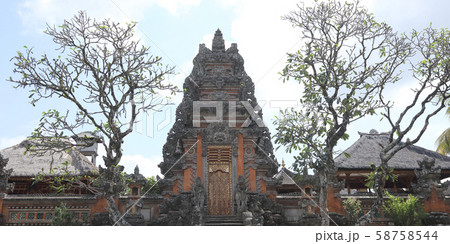 サラスワティ寺院 58758544