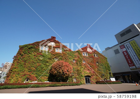 秋のサッポロファクトリー（レンガ館と２条館） 58759198