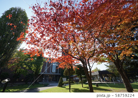 札幌ビール園　ポプラ館 58759224