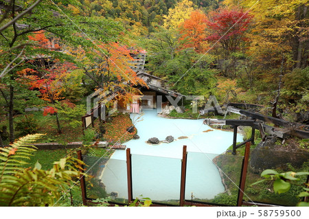 日本の秘湯　泡の湯 58759500