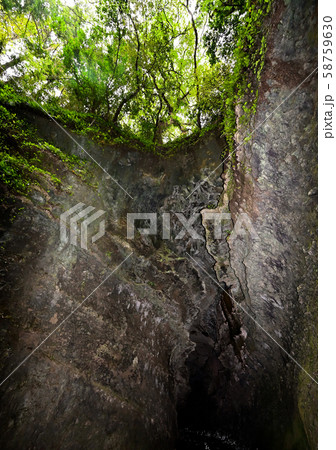 伊尾木洞 58759630