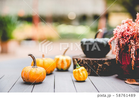 ハロウィン、ハロウィーン、かぼちゃ、イベント ハロウィン、ハロウィーン、かぼちゃ、イベント 58761489