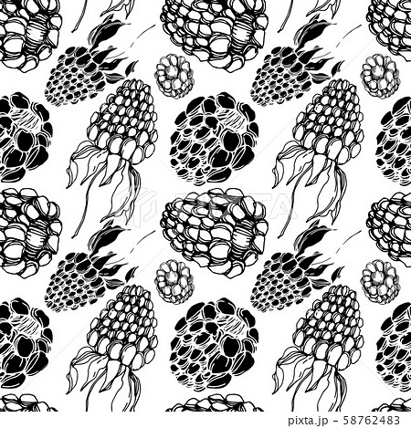Vector Blackberry healthy food. Black and white engraved ink art. Seamless background pattern. Vector Blackberry healthy food. Black and white engraved ink art. Seamless background pattern. 58762483