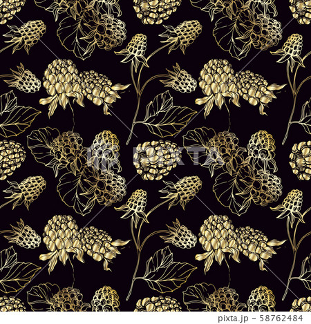 Vector Blackberry healthy food. Black and white engraved ink art. Seamless background pattern. 58762484