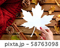 秋を感じさせる楓の葉　メッセージカード　コピースペース　秋の販促、季節イベント。 58763098