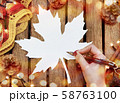 秋を感じさせる楓の葉　メッセージカード　コピースペース　秋の販促、季節イベント。 58763100