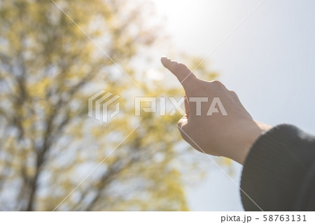 イメージフォト 58763131