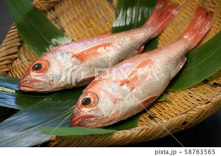 ノドグロ ノドグロ 58763565