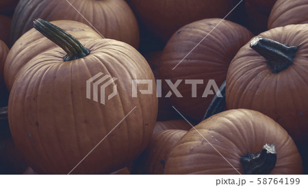 Heap of Red Pumpkins, Cucurbita maxima 58764199