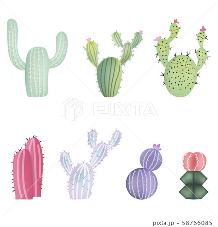 Set of different colorful realistic cactuses. 58766085