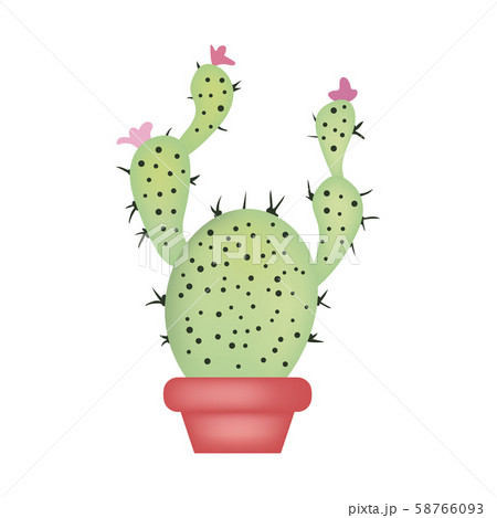 Green cactus in red pot isolated on white 58766093