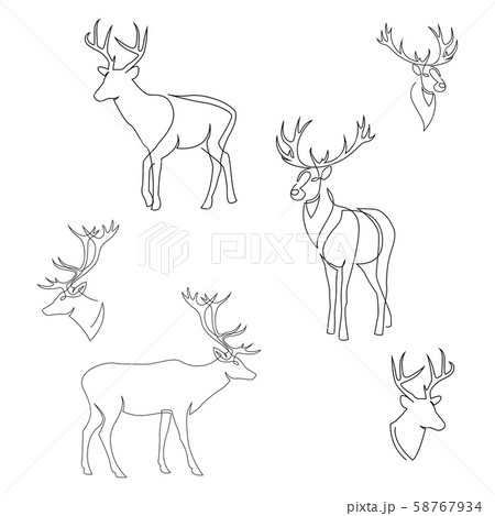 One line design silhouette of deer. Set of full height and heads. Hand drawn single continuous line 58767934
