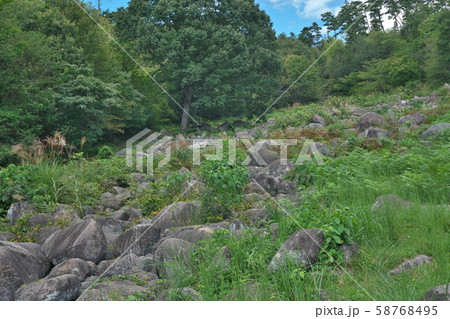 《広島県》久井の岩海 58768495
