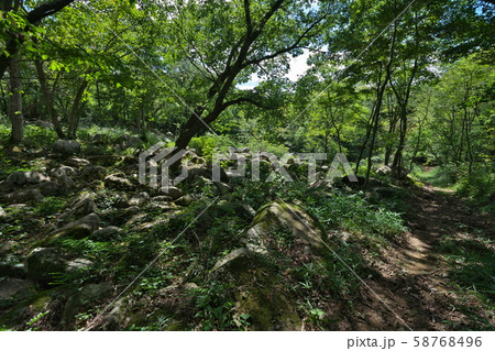 《広島県》久井の岩海 58768496