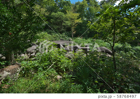 《広島県》久井の岩海 58768497