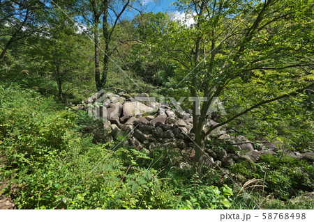 《広島県》久井の岩海 58768498