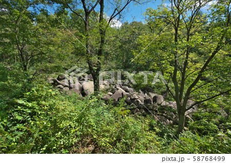 《広島県》久井の岩海 58768499