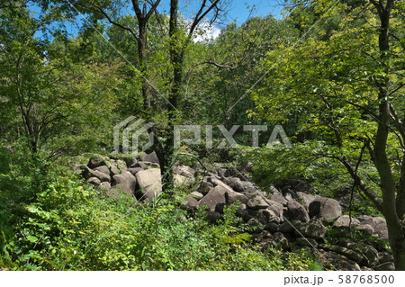 《広島県》久井の岩海 58768500