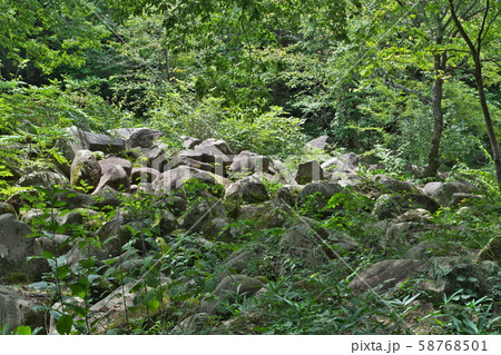 《広島県》久井の岩海 58768501