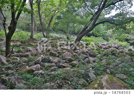 《広島県》久井の岩海 58768503